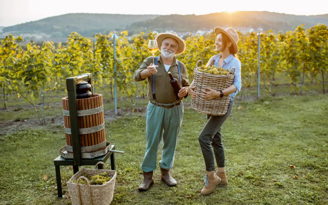 Viticulteur senior avec jeune femme sur le vignoble